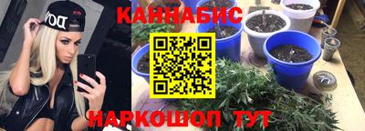 каннабис Усть-Джегута