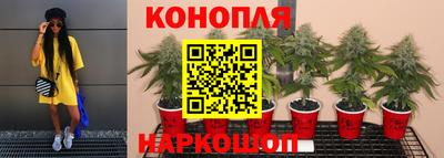 тгк Усть-Илимск