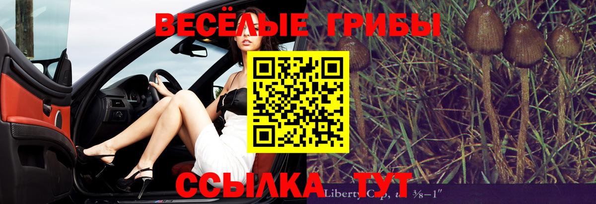 Псилоцибиновые грибы мухоморы  Псилоцибиновые грибы GOLDEN TEACHER  Вход с VPN  Ангарск 